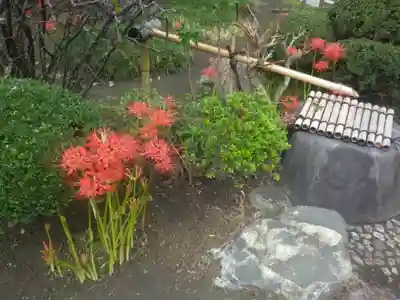 九品寺の手水舎