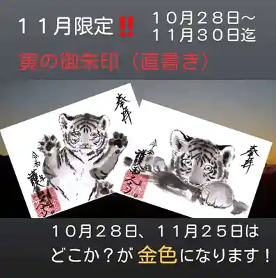 子虎は2種類🐯🐯