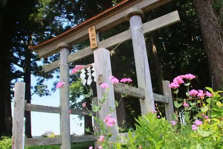 岩上神社の鳥居