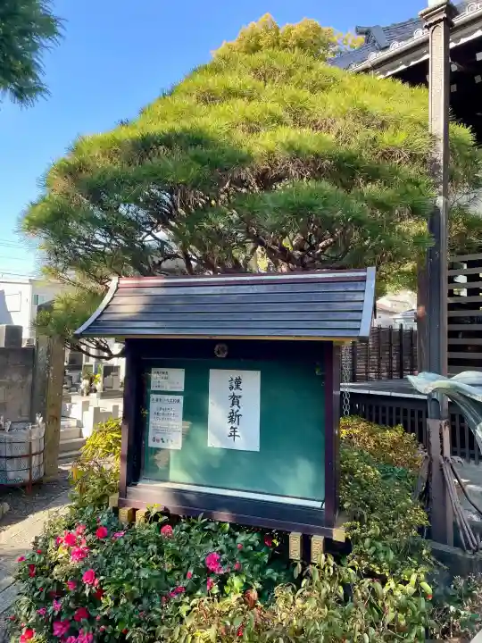 光明寺の{uncategorized: "未分類", other: "その他", undefined: "問題あり", building: "その他建物", grave: "お墓", sacred_gate: "鳥居", guardian: "狛犬", statue: "像", buddha: "仏像", history: "歴史", nature: "自然", garden: "庭園", animal: "動物", pagoda: "塔", temizu: "手水舎", mountain_gate: "山門・神門", sanctuary: "本殿・本堂", subordinate: "末社・摂社", art: "芸術", scenery: "景色", jizo: "地蔵", ema: "絵馬", goshuin: "御朱印", omikuji: "おみくじ", items: "授与品その他", amulet: "お守り", goshuincho: "御朱印帳", eats: "食事", festival: "お祭り", votive_dance: "神楽", shichigosan: "七五三参", wedding: "結婚式", experience: "体験その他", initially: "初詣", around: "周辺", anti_infection: "感染症対策"}