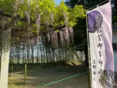 志那神社の{uncategorized: "未分類", other: "その他", undefined: "問題あり", building: "その他建物", grave: "お墓", sacred_gate: "鳥居", guardian: "狛犬", statue: "像", buddha: "仏像", history: "歴史", nature: "自然", garden: "庭園", animal: "動物", pagoda: "塔", temizu: "手水舎", mountain_gate: "山門・神門", sanctuary: "本殿・本堂", subordinate: "末社・摂社", art: "芸術", scenery: "景色", jizo: "地蔵", ema: "絵馬", goshuin: "御朱印", omikuji: "おみくじ", items: "授与品その他", amulet: "お守り", goshuincho: "御朱印帳", eats: "食事", festival: "お祭り", votive_dance: "神楽", shichigosan: "七五三参", wedding: "結婚式", experience: "体験その他", initially: "初詣", around: "周辺", anti_infection: "感染症対策"}