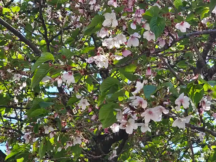 元町厳島神社(神奈川県)