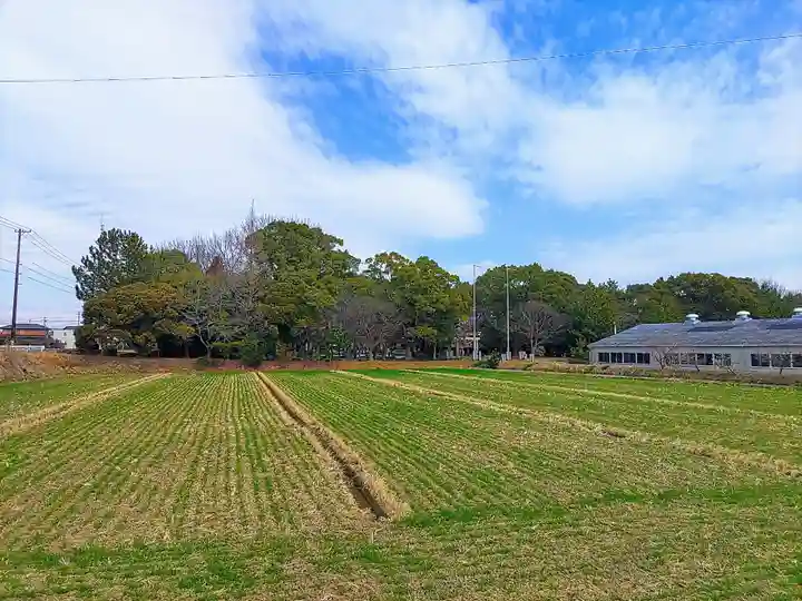 天満神社の自然
