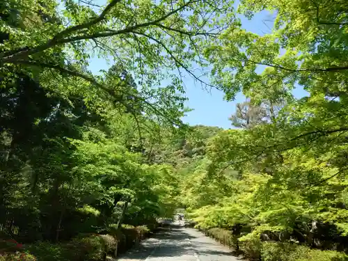 二尊院(京都府)