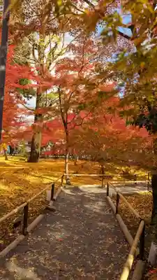 禅林寺(永観堂)(京都府)