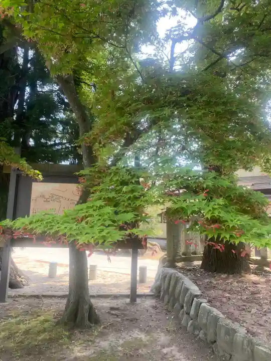 總宮神社の{uncategorized: "未分類", other: "その他", undefined: "問題あり", building: "その他建物", grave: "お墓", sacred_gate: "鳥居", guardian: "狛犬", statue: "像", buddha: "仏像", history: "歴史", nature: "自然", garden: "庭園", animal: "動物", pagoda: "塔", temizu: "手水舎", mountain_gate: "山門・神門", sanctuary: "本殿・本堂", subordinate: "末社・摂社", art: "芸術", scenery: "景色", jizo: "地蔵", ema: "絵馬", goshuin: "御朱印", omikuji: "おみくじ", items: "授与品その他", amulet: "お守り", goshuincho: "御朱印帳", eats: "食事", festival: "お祭り", votive_dance: "神楽", shichigosan: "七五三参", wedding: "結婚式", experience: "体験その他", initially: "初詣", around: "周辺", anti_infection: "感染症対策"}