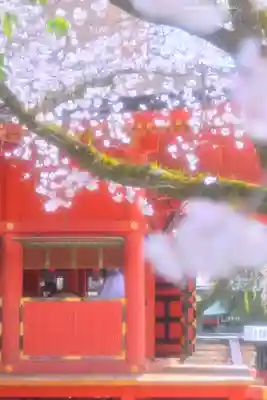 富士山本宮浅間大社(静岡県)