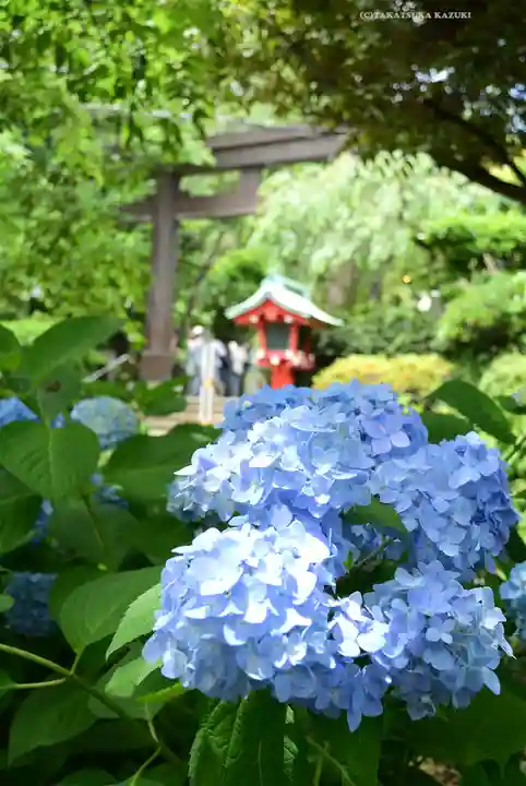 江島神社(神奈川県)