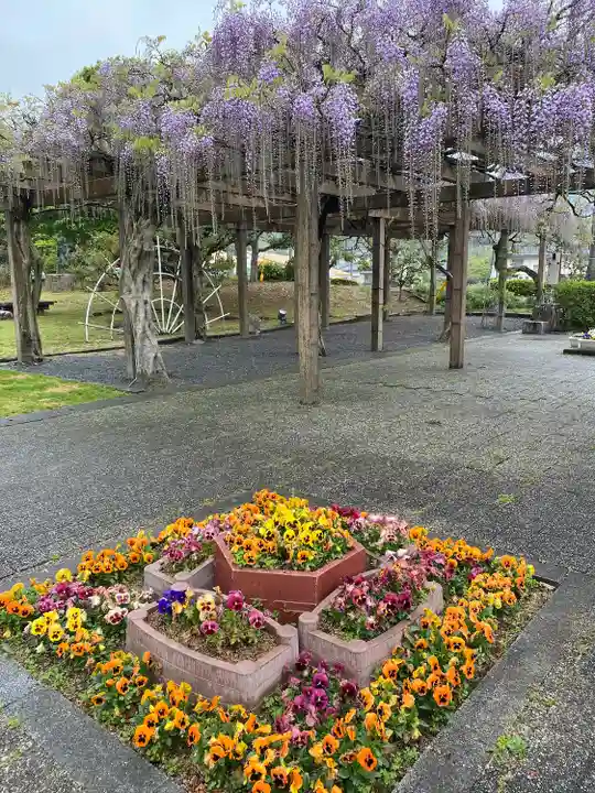 大山祇神社(愛媛県)