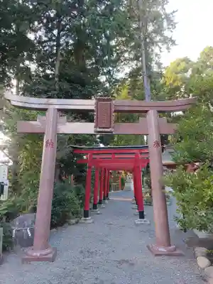 亀ケ池八幡宮(神奈川県)