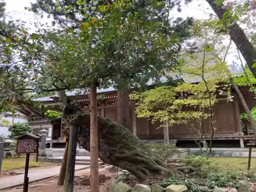 乙寳寺(新潟県)