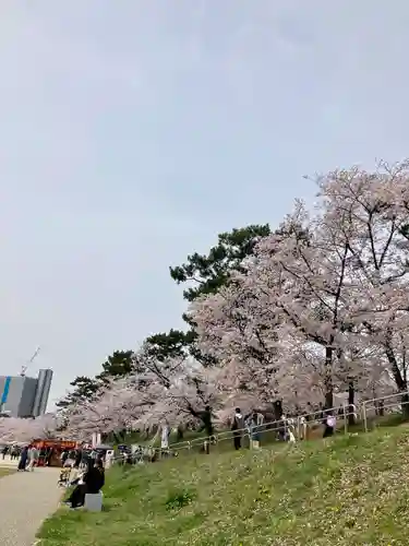 菅生神社の景色