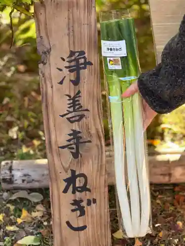 浄善寺の{uncategorized: "未分類", other: "その他", undefined: "問題あり", building: "その他建物", grave: "お墓", sacred_gate: "鳥居", guardian: "狛犬", statue: "像", buddha: "仏像", history: "歴史", nature: "自然", garden: "庭園", animal: "動物", pagoda: "塔", temizu: "手水舎", mountain_gate: "山門・神門", sanctuary: "本殿・本堂", subordinate: "末社・摂社", art: "芸術", scenery: "景色", jizo: "地蔵", ema: "絵馬", goshuin: "御朱印", omikuji: "おみくじ", items: "授与品その他", amulet: "お守り", goshuincho: "御朱印帳", eats: "食事", festival: "お祭り", votive_dance: "神楽", shichigosan: "七五三参", wedding: "結婚式", experience: "体験その他", initially: "初詣", around: "周辺", anti_infection: "感染症対策"}