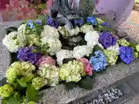 札幌諏訪神社の手水舎