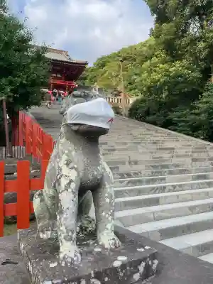 鶴岡八幡宮の狛犬