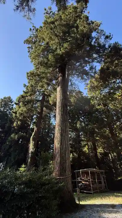 熱日高彦神社(宮城県)