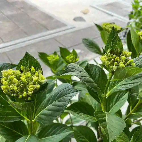 松本山　地福禅寺(滋賀県)