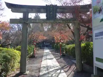 長岡天満宮の鳥居