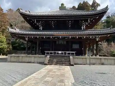 知恩院の本殿・本堂