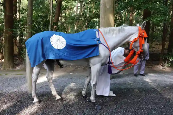 伊勢神宮外宮(豊受大神宮)の動物