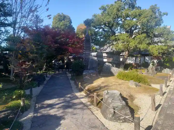 崇福寺の庭園