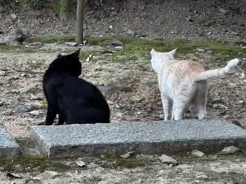 王子神社(徳島県)