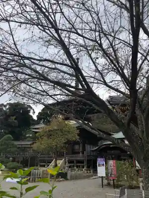 楽法寺（雨引観音）のその他建物