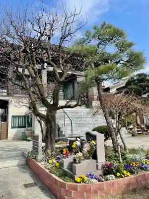 真英寺の{uncategorized: "未分類", other: "その他", undefined: "問題あり", building: "その他建物", grave: "お墓", sacred_gate: "鳥居", guardian: "狛犬", statue: "像", buddha: "仏像", history: "歴史", nature: "自然", garden: "庭園", animal: "動物", pagoda: "塔", temizu: "手水舎", mountain_gate: "山門・神門", sanctuary: "本殿・本堂", subordinate: "末社・摂社", art: "芸術", scenery: "景色", jizo: "地蔵", ema: "絵馬", goshuin: "御朱印", omikuji: "おみくじ", items: "授与品その他", amulet: "お守り", goshuincho: "御朱印帳", eats: "食事", festival: "お祭り", votive_dance: "神楽", shichigosan: "七五三参", wedding: "結婚式", experience: "体験その他", initially: "初詣", around: "周辺", anti_infection: "感染症対策"}