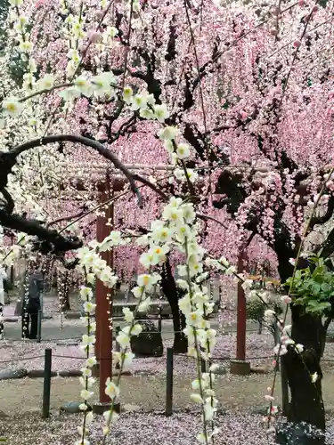 結城神社の庭園