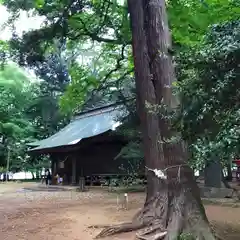 東蕗田天満社の建物その他