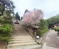 常楽寺の{uncategorized: "未分類", other: "その他", undefined: "問題あり", building: "その他建物", grave: "お墓", sacred_gate: "鳥居", guardian: "狛犬", statue: "像", buddha: "仏像", history: "歴史", nature: "自然", garden: "庭園", animal: "動物", pagoda: "塔", temizu: "手水舎", mountain_gate: "山門・神門", sanctuary: "本殿・本堂", subordinate: "末社・摂社", art: "芸術", scenery: "景色", jizo: "地蔵", ema: "絵馬", goshuin: "御朱印", omikuji: "おみくじ", items: "授与品その他", amulet: "お守り", goshuincho: "御朱印帳", eats: "食事", festival: "お祭り", votive_dance: "神楽", shichigosan: "七五三参", wedding: "結婚式", experience: "体験その他", initially: "初詣", around: "周辺", anti_infection: "感染症対策"}