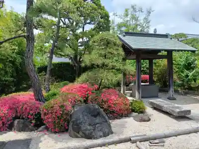 蓮花寺の{uncategorized: "未分類", other: "その他", undefined: "問題あり", building: "その他建物", grave: "お墓", sacred_gate: "鳥居", guardian: "狛犬", statue: "像", buddha: "仏像", history: "歴史", nature: "自然", garden: "庭園", animal: "動物", pagoda: "塔", temizu: "手水舎", mountain_gate: "山門・神門", sanctuary: "本殿・本堂", subordinate: "末社・摂社", art: "芸術", scenery: "景色", jizo: "地蔵", ema: "絵馬", goshuin: "御朱印", omikuji: "おみくじ", items: "授与品その他", amulet: "お守り", goshuincho: "御朱印帳", eats: "食事", festival: "お祭り", votive_dance: "神楽", shichigosan: "七五三参", wedding: "結婚式", experience: "体験その他", initially: "初詣", around: "周辺", anti_infection: "感染症対策"}