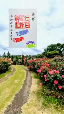 月替り御朱印 5月
『鯉のぼり🎏』