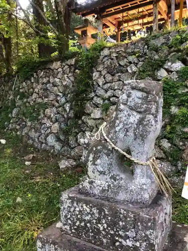 坂本八幡神社の狛犬