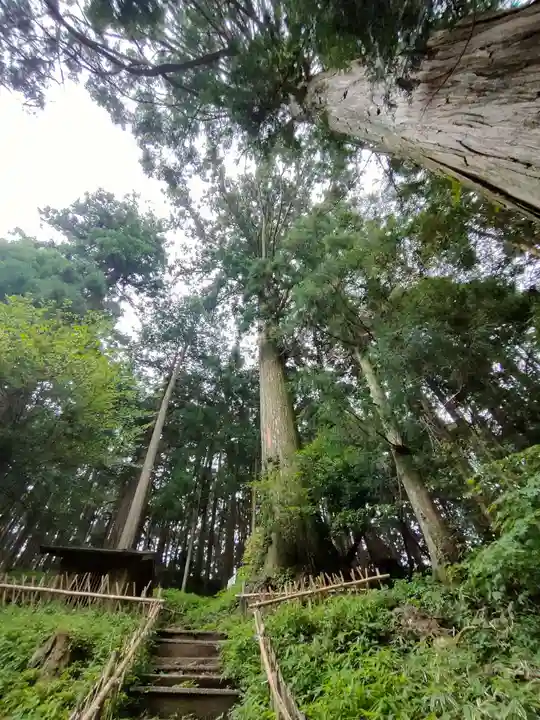 白鳥神社の自然