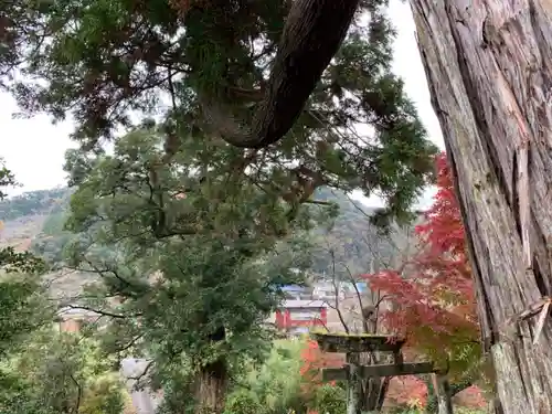 八幡神社の景色