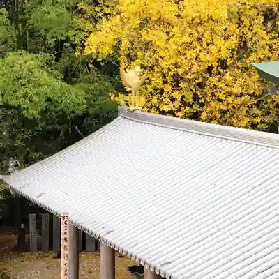温泉山 安楽寺(四国霊場第六番札所)のその他建物