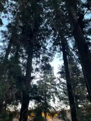 大宮温泉神社(栃木県)