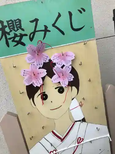 櫻岡大神宮のおみくじ