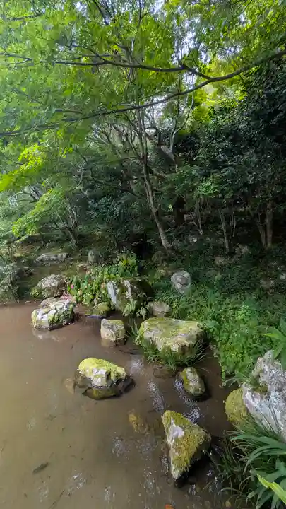 桂徳院(京都府)