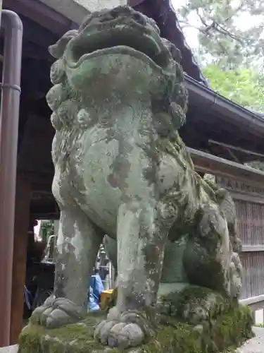 白雲神社の狛犬