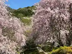 大神神社の自然