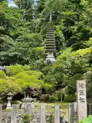 岡寺（龍蓋寺）(奈良県)