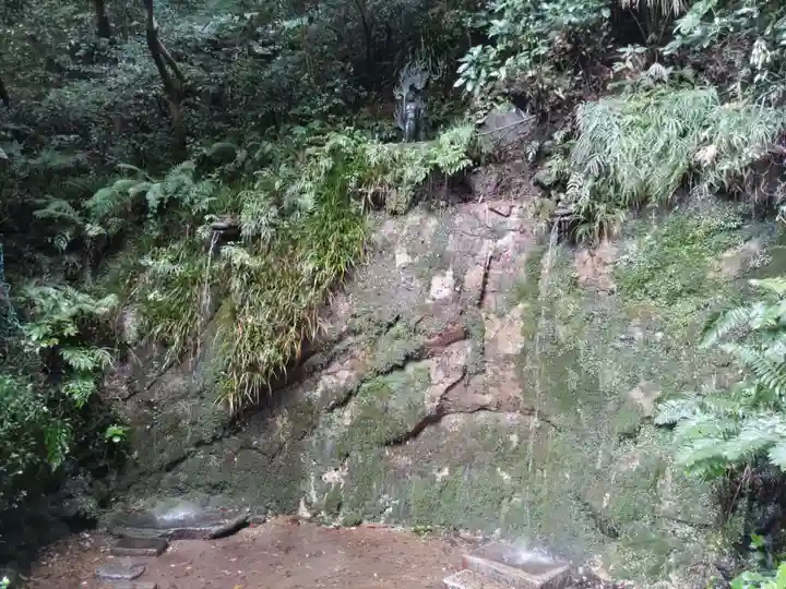 明王院(満願寺別院)の自然