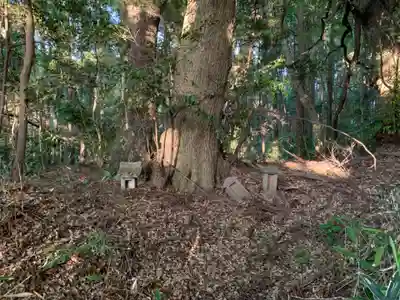 諏訪神社(千葉県)