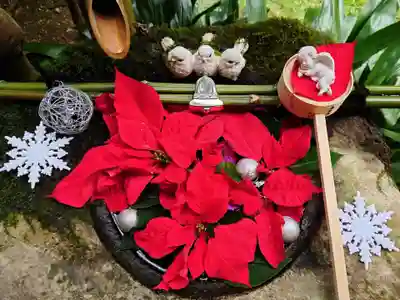 柳谷観音 楊谷寺の手水舎