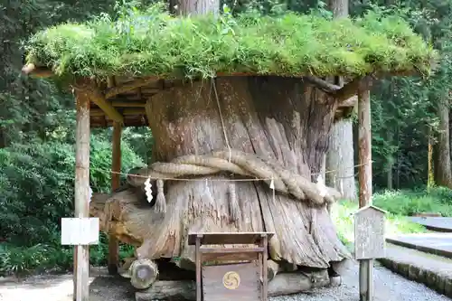 小國神社(静岡県)