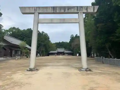 糟目春日神社の鳥居