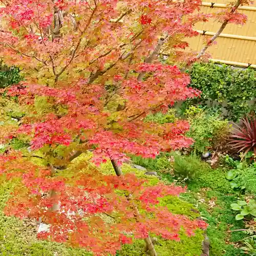 寿量山　速成寺の自然
