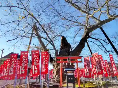 秩父今宮神社(埼玉県)
